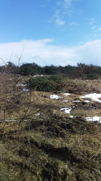 Послуги з  розчищення  ділянок,корчування пнів.