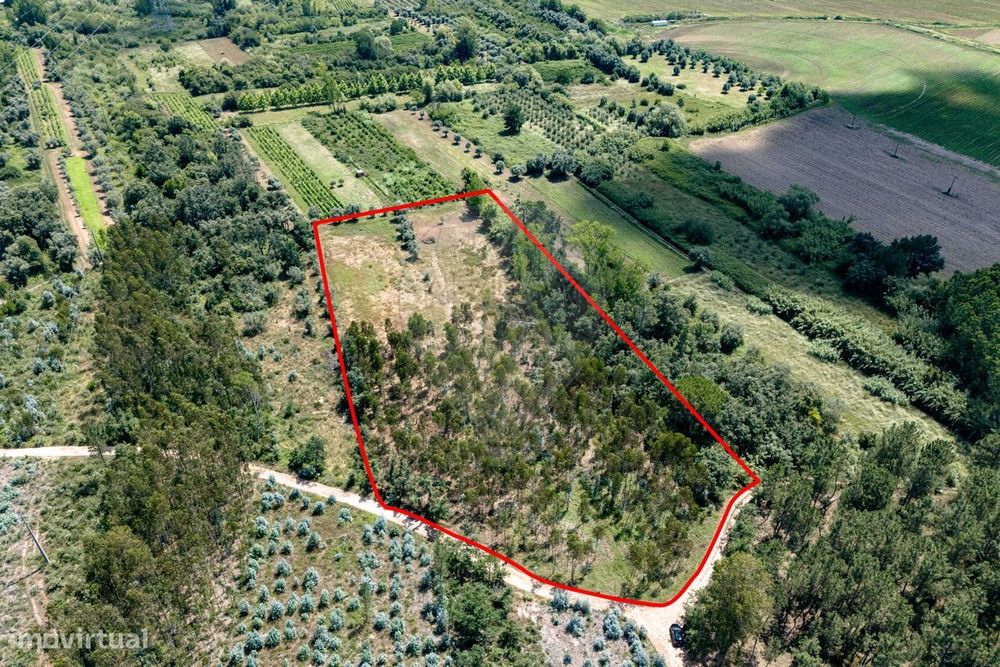 Terreno  para venda — Sebal E Belide, Coimbra