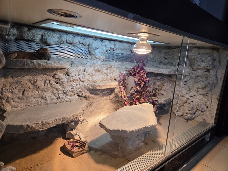 Terrarium 120x60x60
