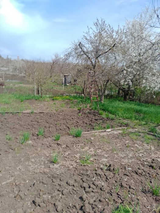 Дача Фрунзе Суха Балка