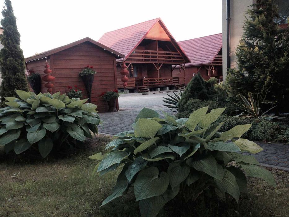 Domki nad morzem 350 m do plaży - Dźwirzyno