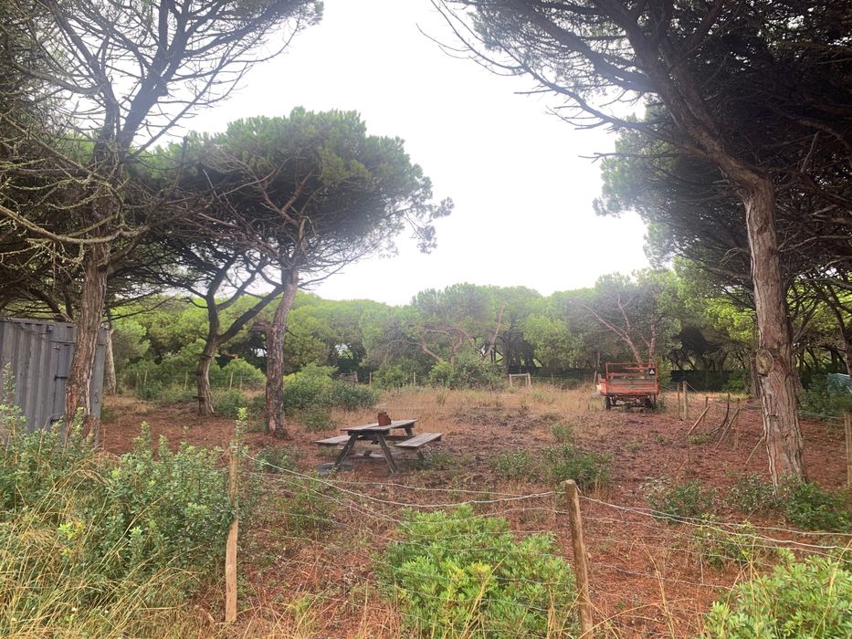 Terreno à Venda na Aldeia do Meco, Sesimbra