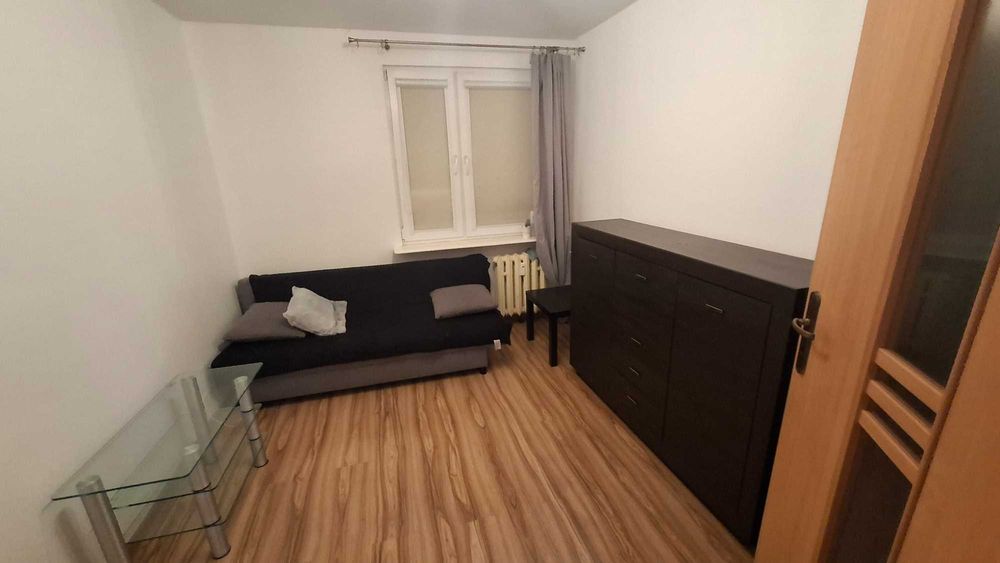 Mieszkanie do wynajęcia