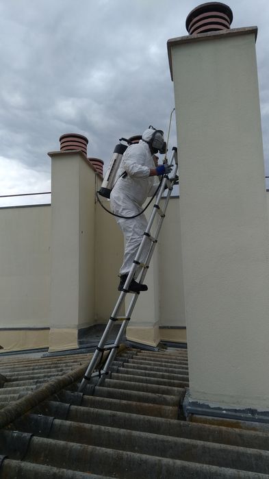 Controlo de Pragas e Desinfestações 24/7