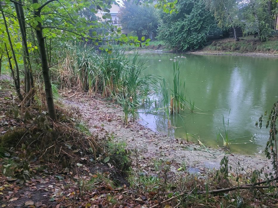 От прям рекомендую ці таунхауси!