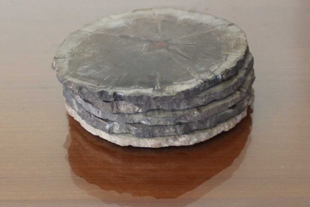 Conjunto de 5 Porta-copos de madeira petrificada, Natural, feito à mão