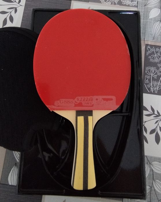 Raquete de Tênis de Mesa DHS 4002