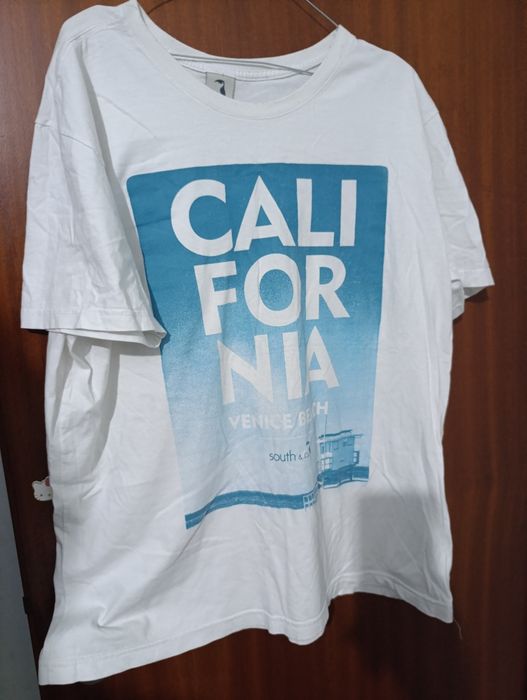 Conjunto de T-shirts e Camisas Sociais L (bom estado)