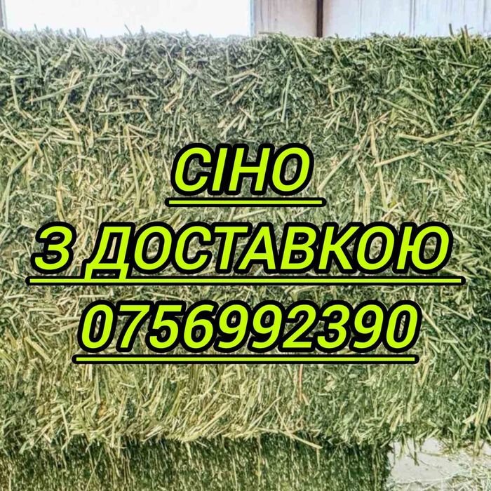 Сено в тюках с доставкой, сіно в тюках разнотравье