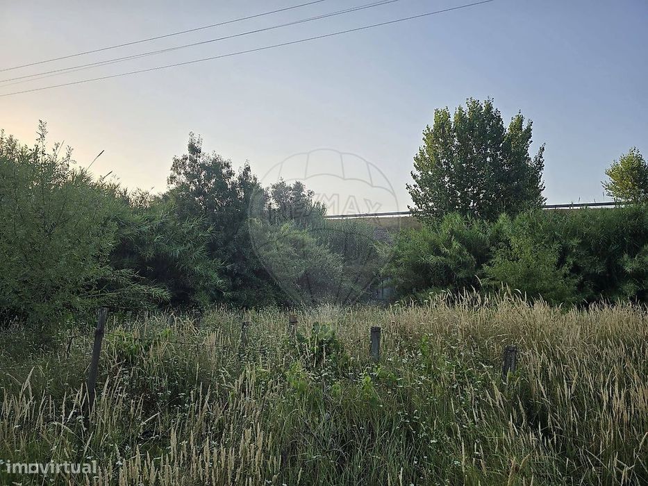 Terreno  para venda