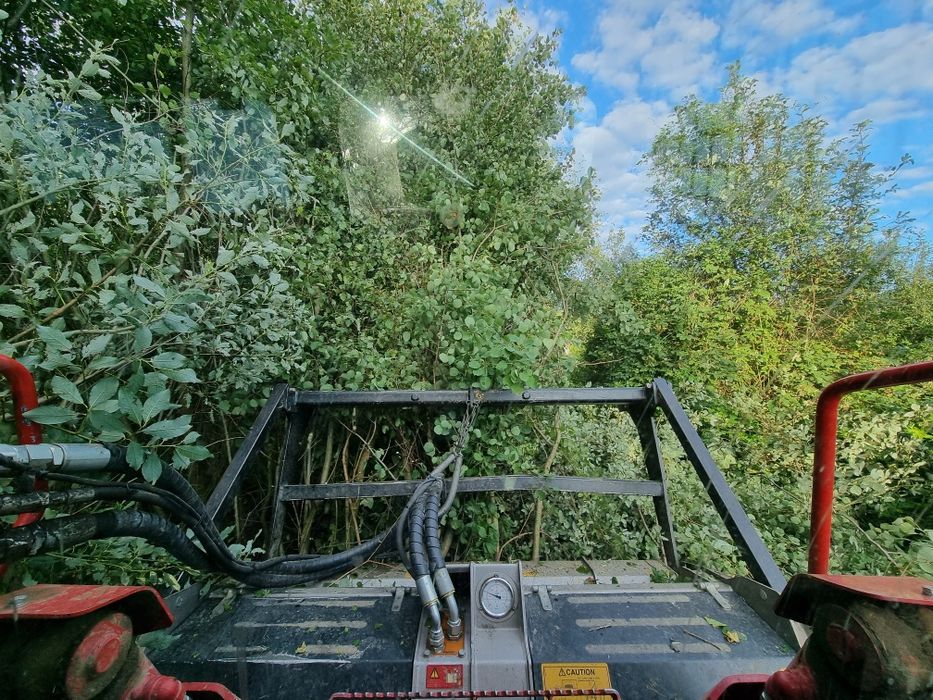 Karczowanie terenu działki oczyszanie czyszenie zarośli wycinka drzew