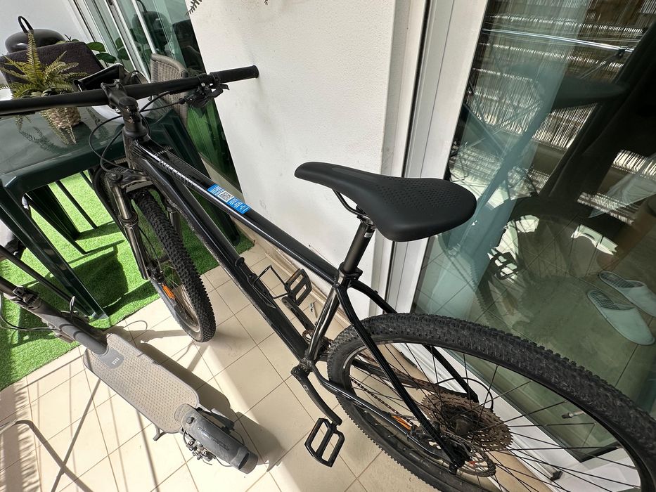 Btt pOrbea onna 10