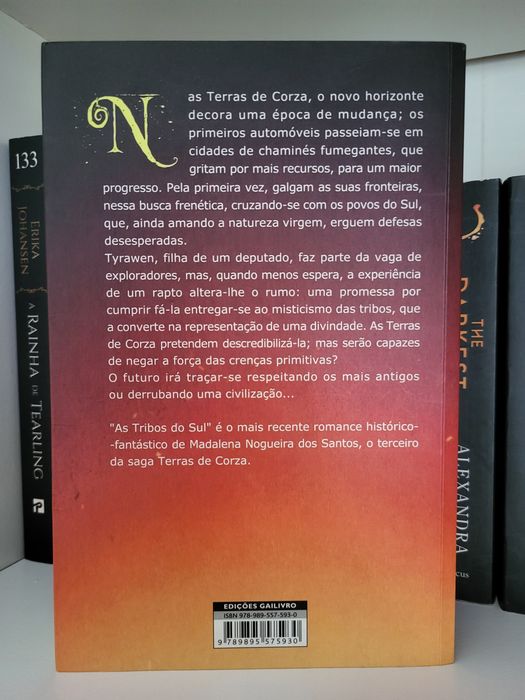 Livro As Tribos do Sul de Madalena Santos