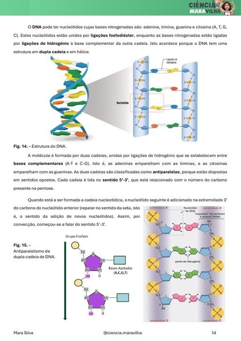 Explicações Online Biologia e Geologia