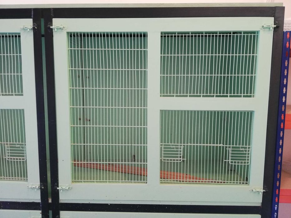 Voadeira para aves – prática e resistente
