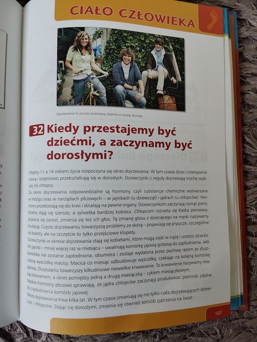 Dlaczego... Odpowiedzi na pozornie łatwe pytania