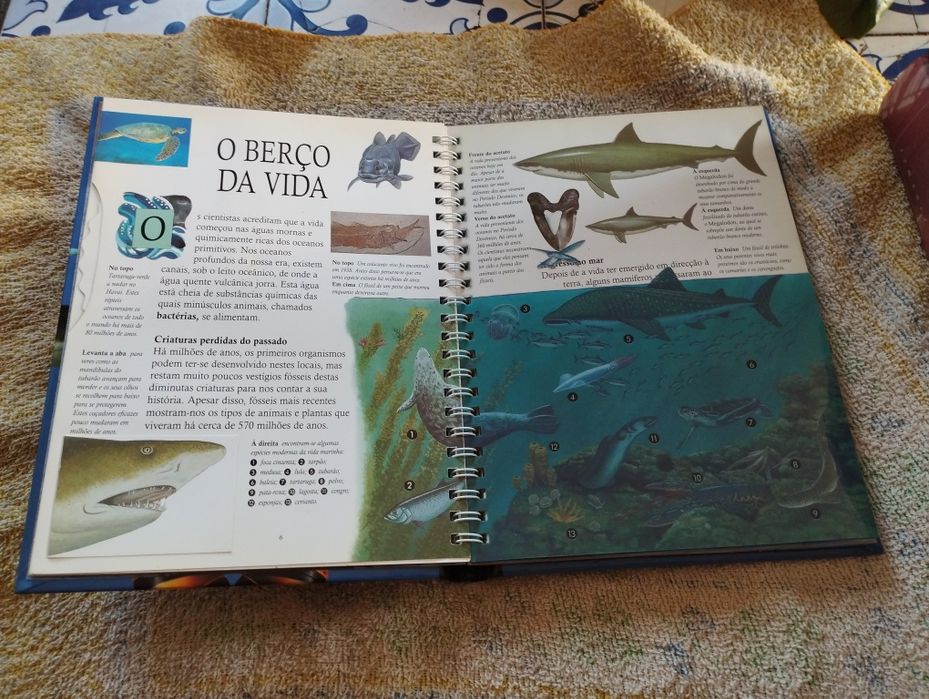 Livro "Oceanos".
