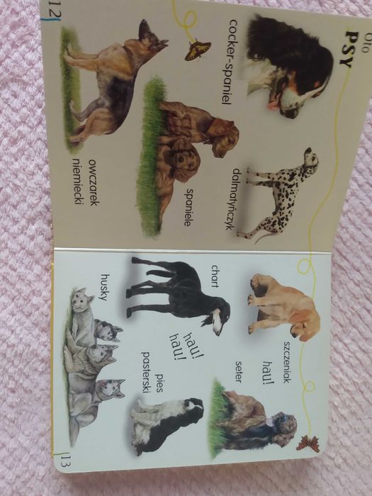 Sprzedam książkę dla dzieci "Zwierzęta żyjące blisko mnie"