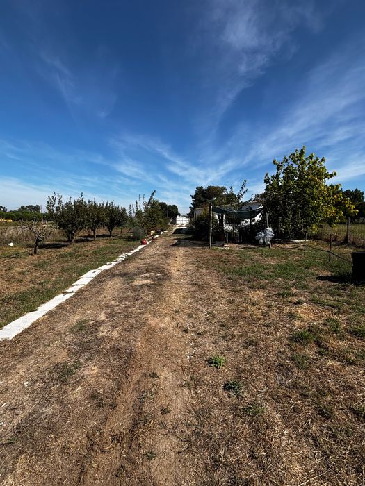 Terreno com 2 casas Habitacionais