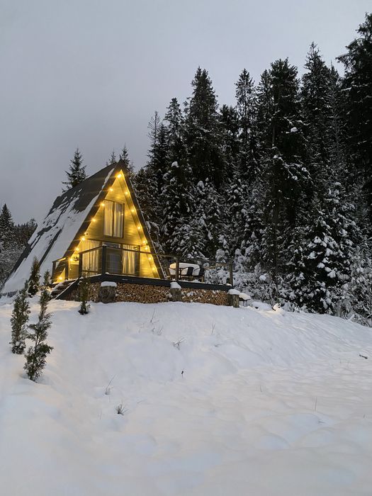 Оренда Котеджу у Славську