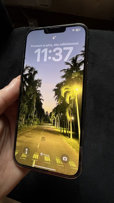 Iphone 13 pro max 256 gb