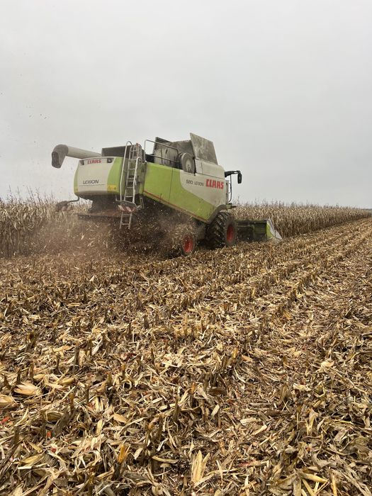 Жатка кукурудзяна Claas Conspeed 8/70 2012