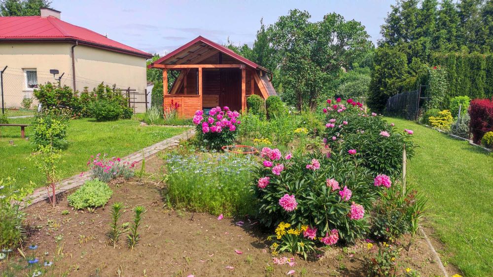 Działka ROD Słoneczne Wzgórze Lublin