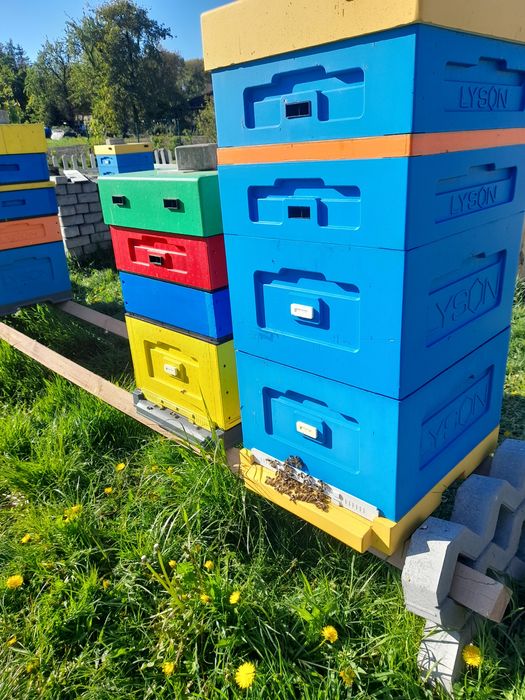 Miód wielokwiatowy, akacjowy, faceliowy, miód leśny 2025r. i inne,