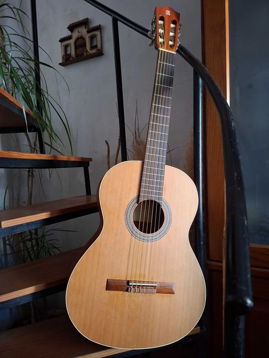 Viola acustica Alhambra Z-Nature + Bag
