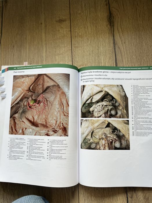 Ksiazki anatomia i hostologia zabel wozniak mcminn