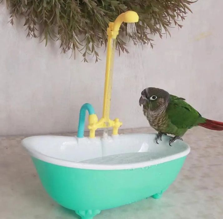 Automatyczny basen - wanna kąpielowa dla papug