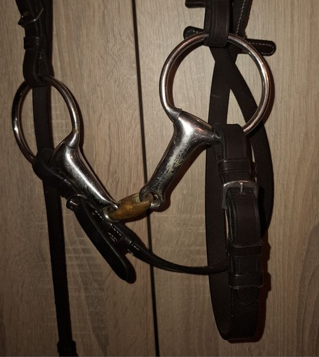 Ogłowie full brązowe york