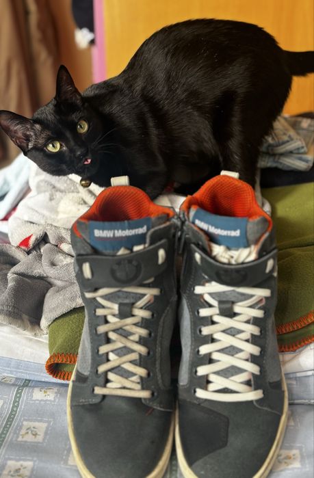 Sapatilhas BMW moto impecaveis