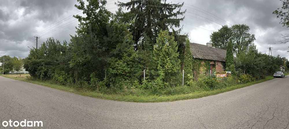Urokliwe siedlisko 7311 m² | Smogorzewo Włościańskie | Duży potencjał