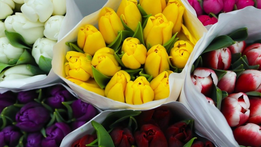 Цветы опт и розница , Квіти, Розы, троянди, Доставка квітів