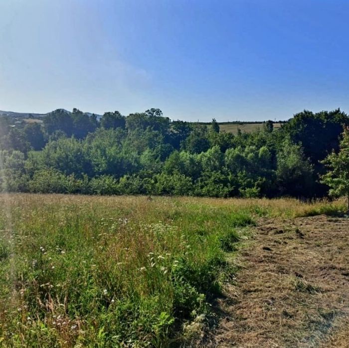 Działka siedliskowa 1,56 ha | RM | blisko Krakowa