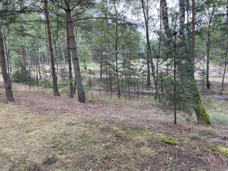Swornegacie domek letniskowy