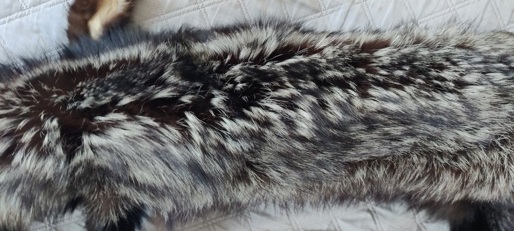 Skóra z Jenota Azjatyckiego 160cm