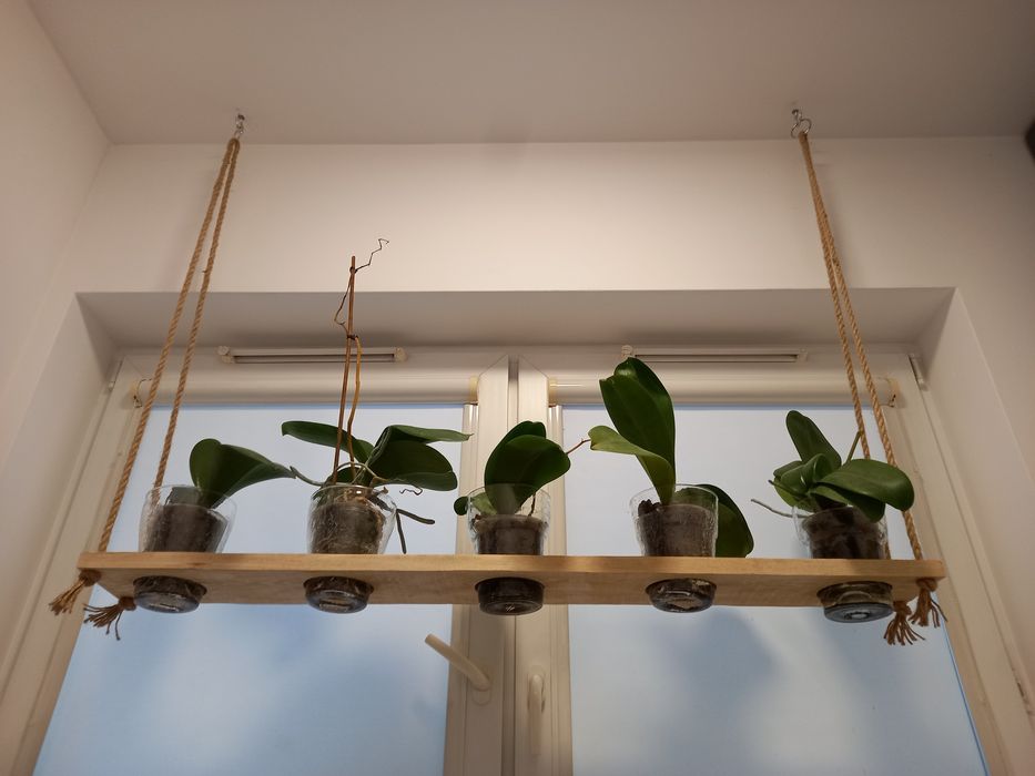 Drewniany kwietnik wiszący na sznurach - różne rodzaje