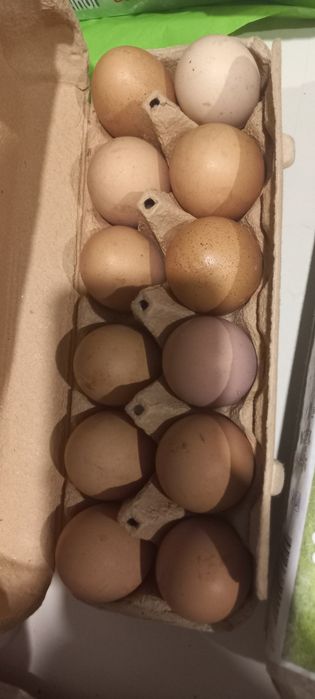 Ovos caseiros 3.50€