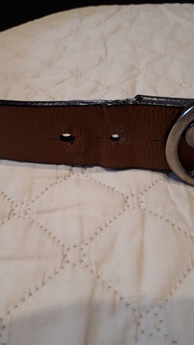 Pasek brąz " philip plein "