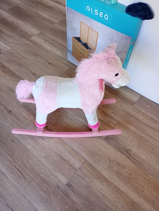 Konik bujany śpiewający