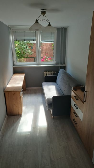 Pokój do wynajęcia w CENTRUM / Wroclavia 30 m
