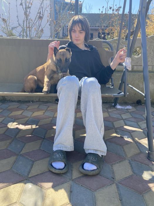 Продам щенка бельгийськой овчарки