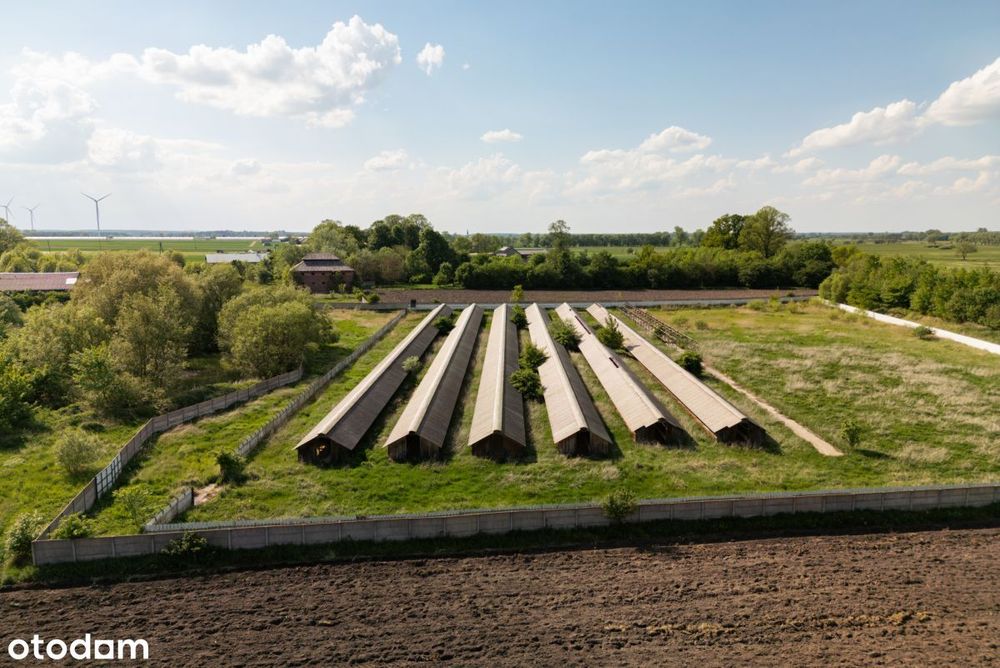 9,25 ha terenu inwestycyjnego z zabudowaniami - Więcej