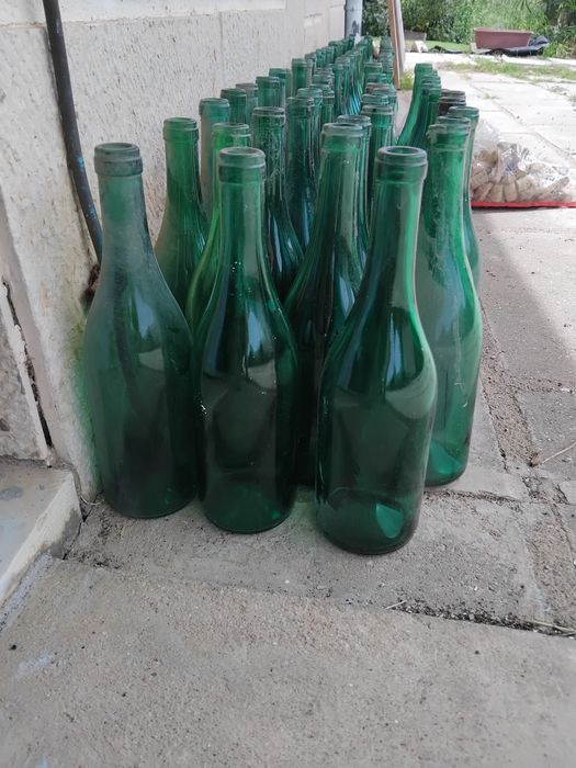 Wine Bottles498380327135498243