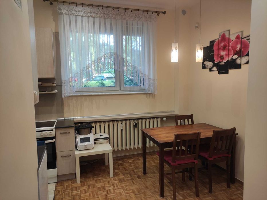 Duży słoneczny pokój na Osiedlu Paderewskiego - Widok 4