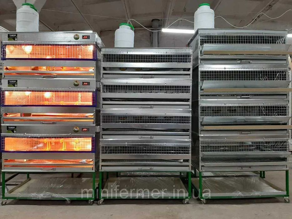 Кліткова батарея для перепілок