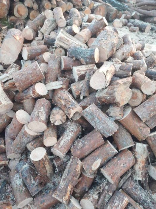 Drewno opałowe/kominkowe