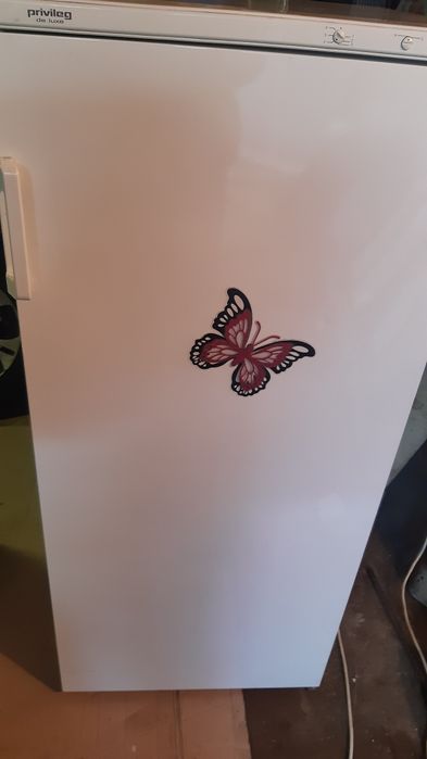 Морозилка на 5 відділень ,в гарному стані ,все працює